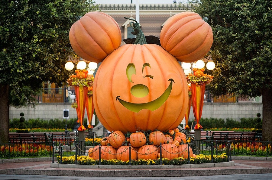 A giant mickey mouse pumpkin at Disneyland.