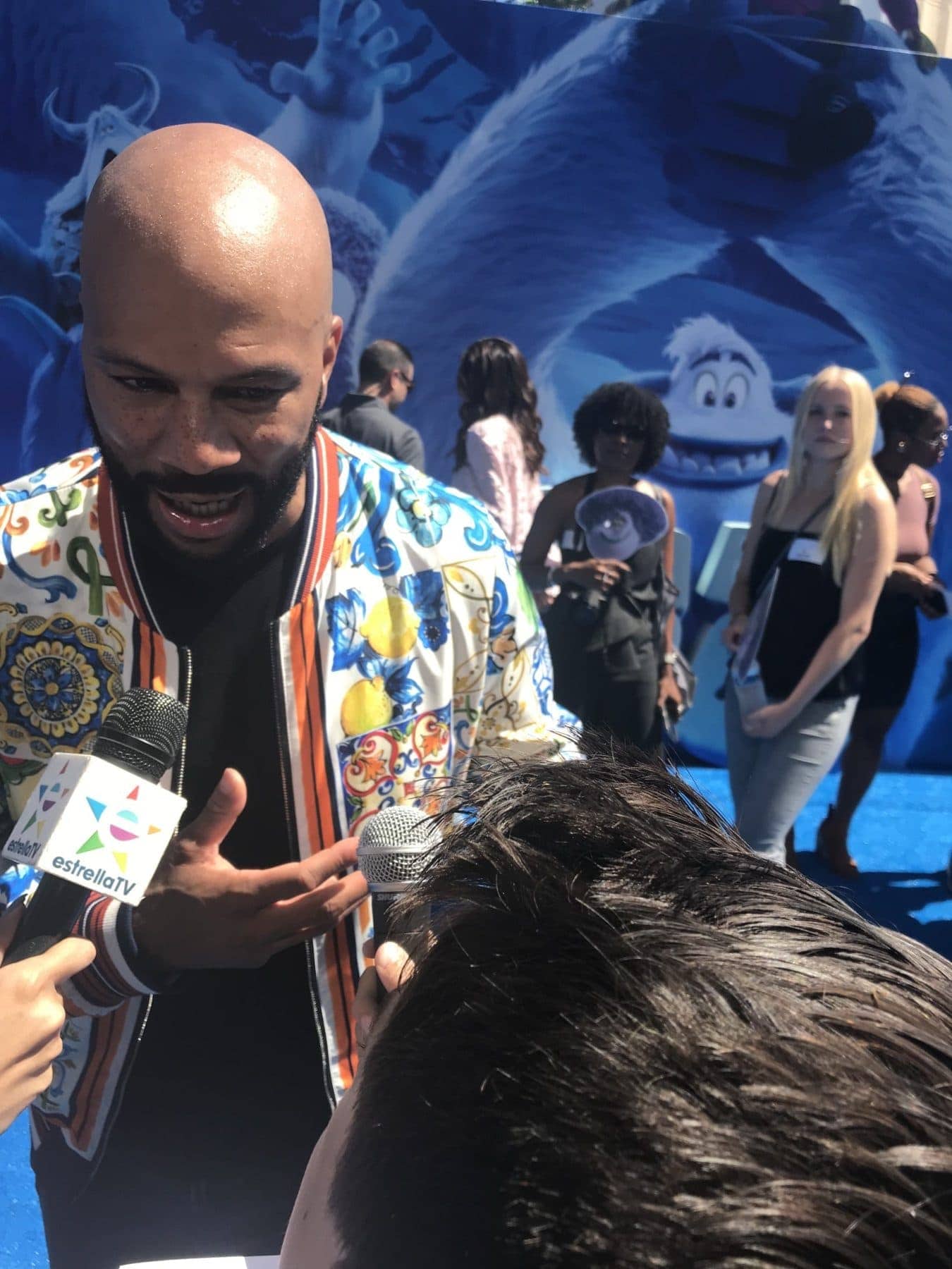 Common at Smallfoot