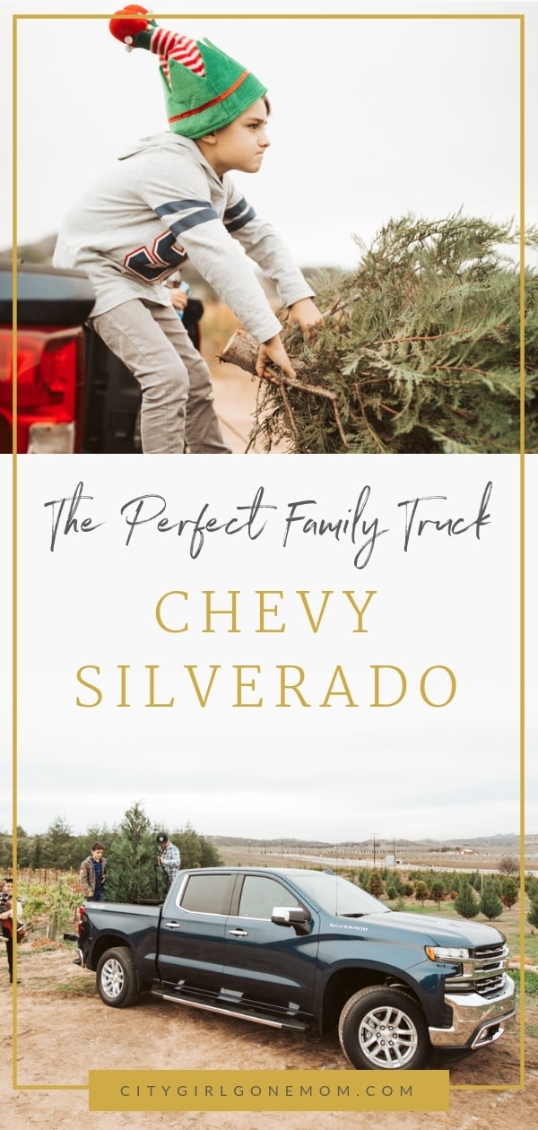 2019 Chevy Silverado