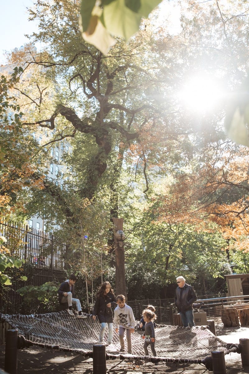 Central Park Zoo