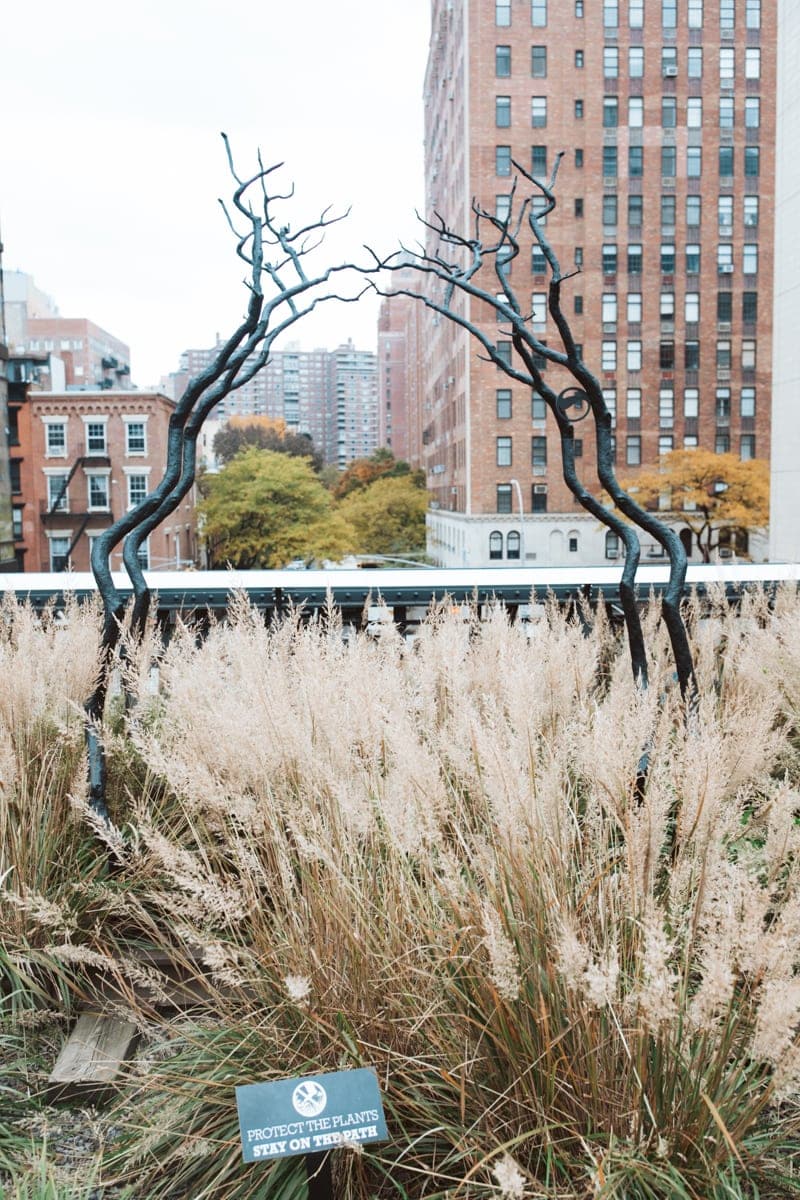 The High Line NYC