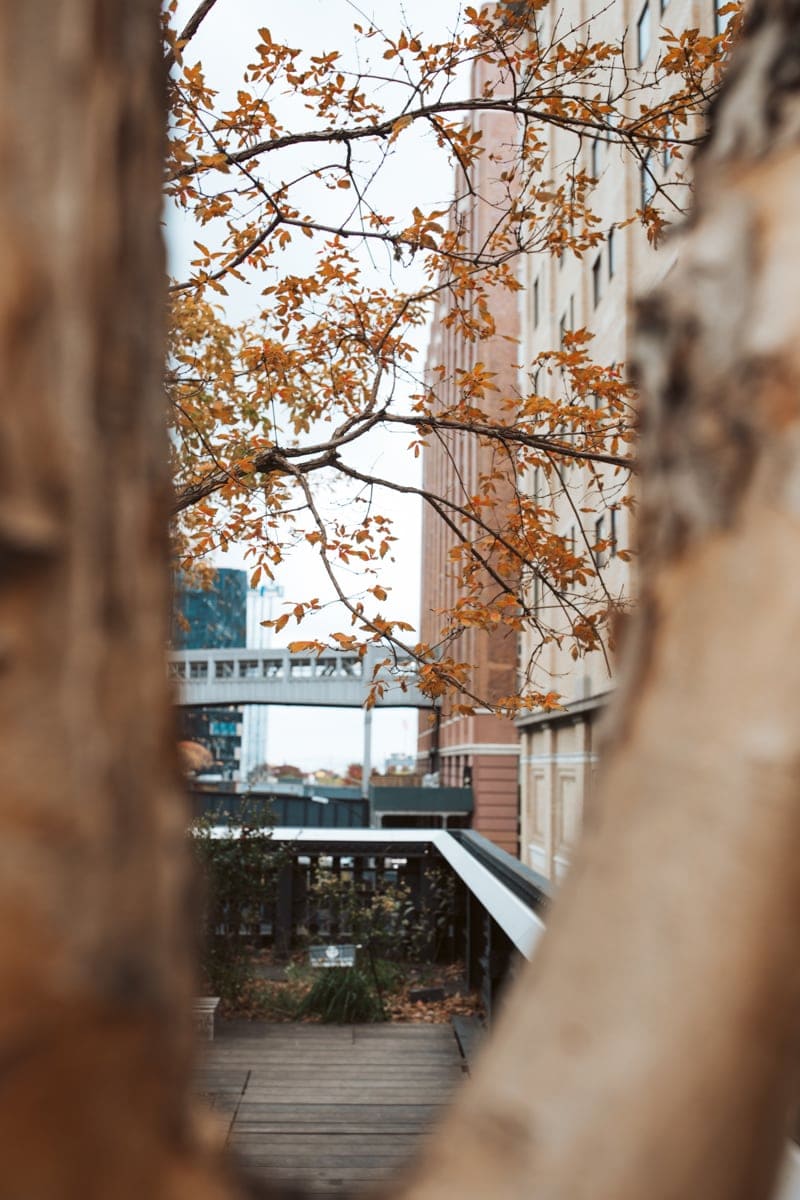 High Line View