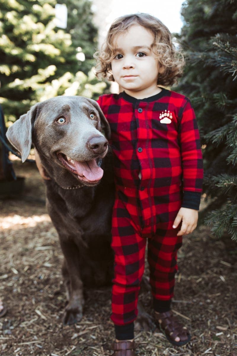 Labrador and baby