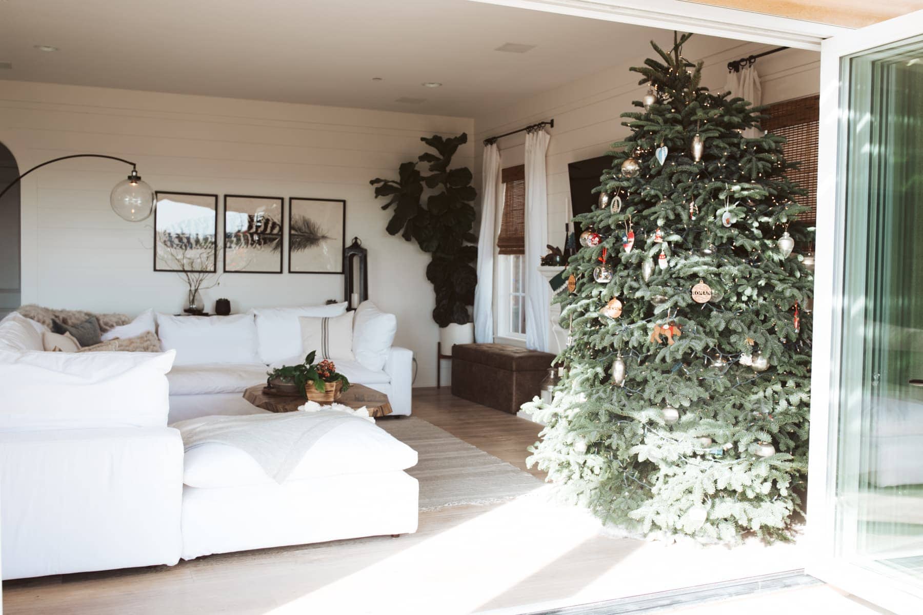 living room with christmas tree