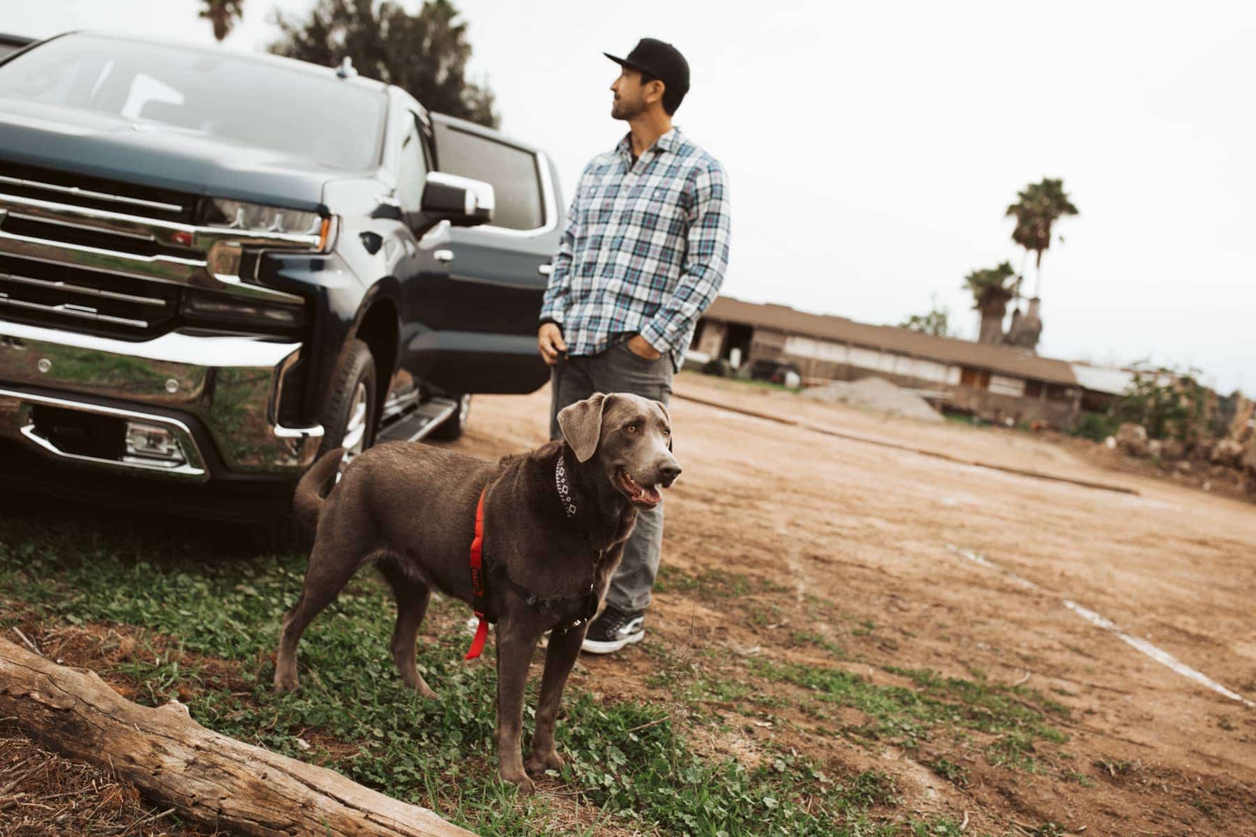 man and his dog