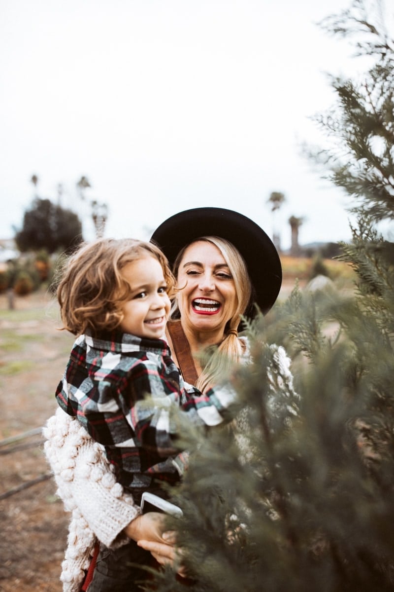 christmas tree farm