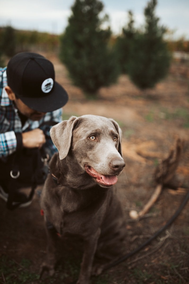 man with dog