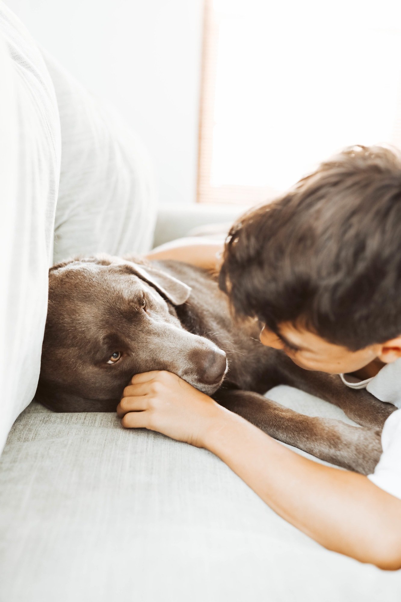 boy and dog