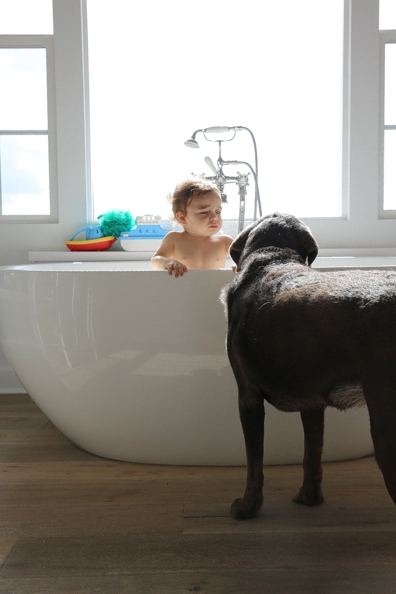 puppy and baby in bath