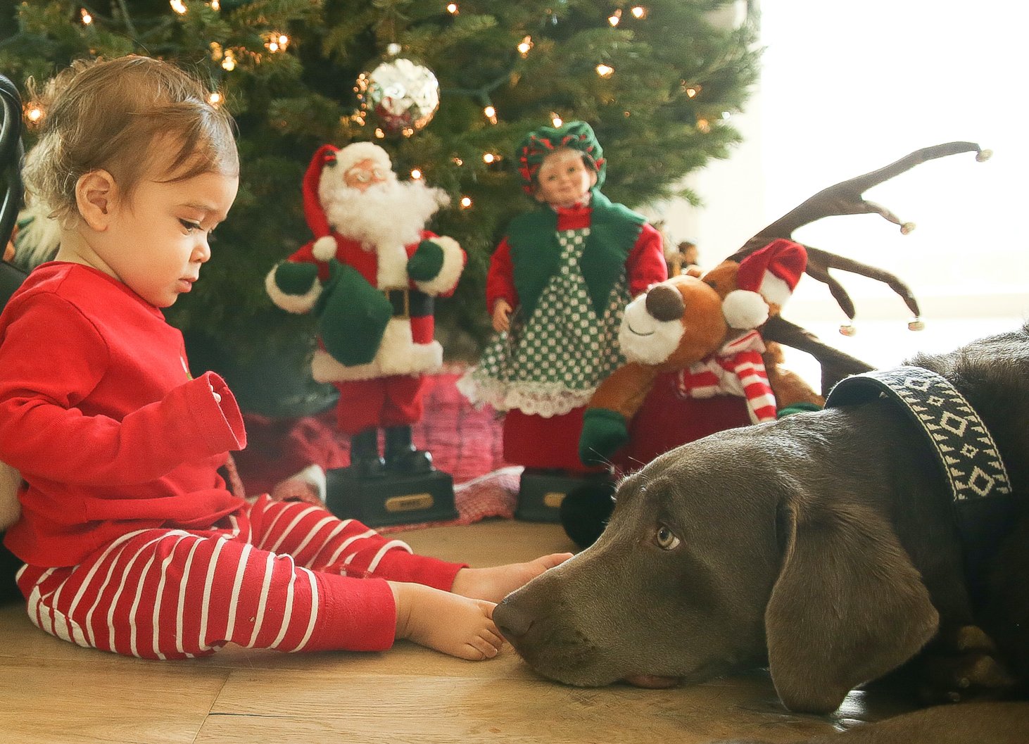 baby and dog by christmas tree