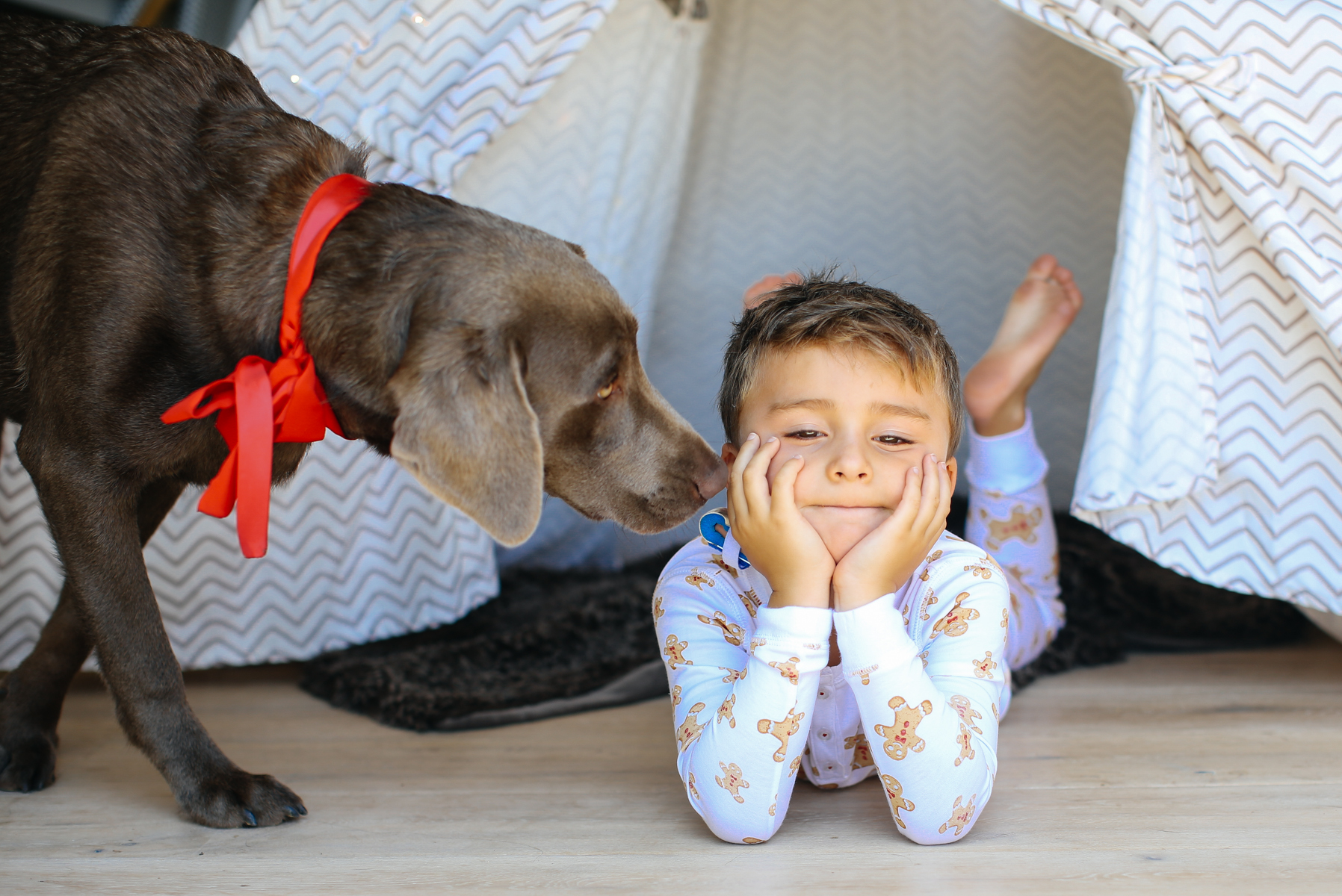 boy and his dog