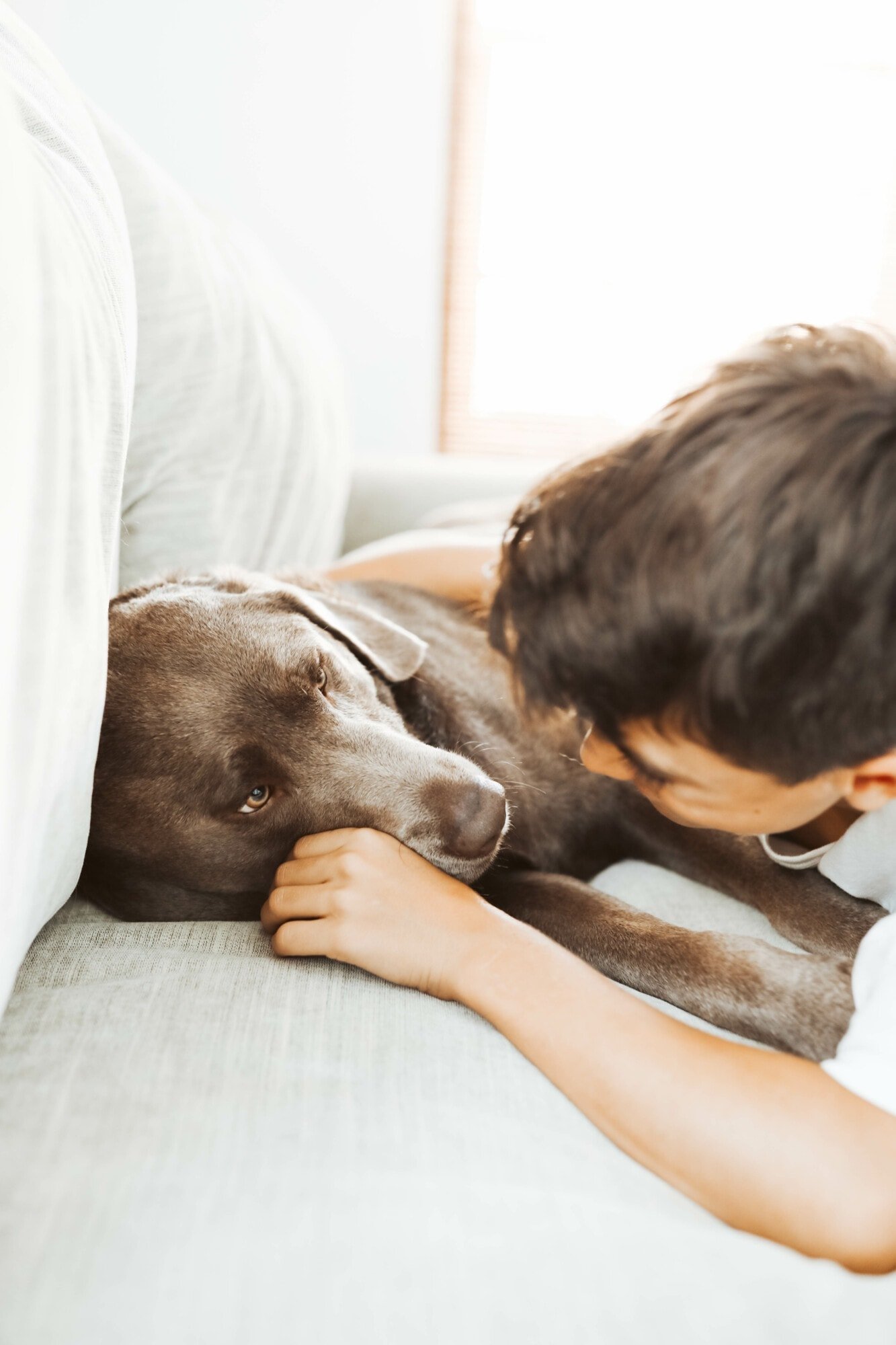 boy and his dog