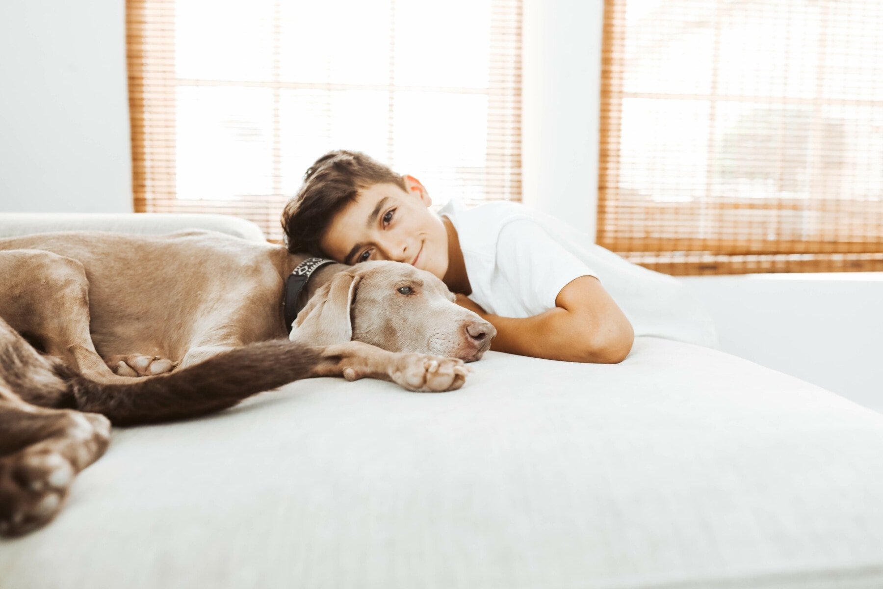 child and dog