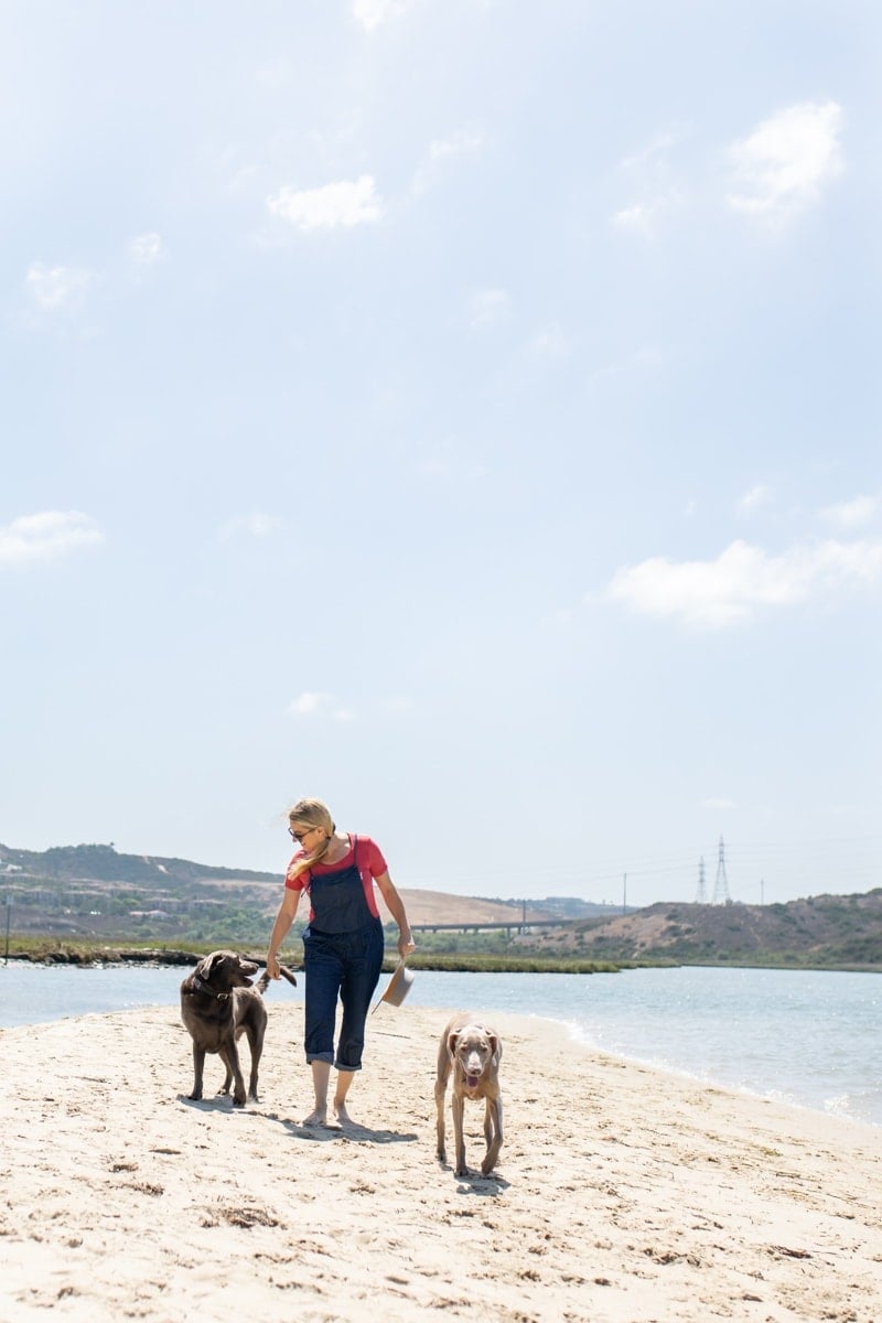 woman and dogs