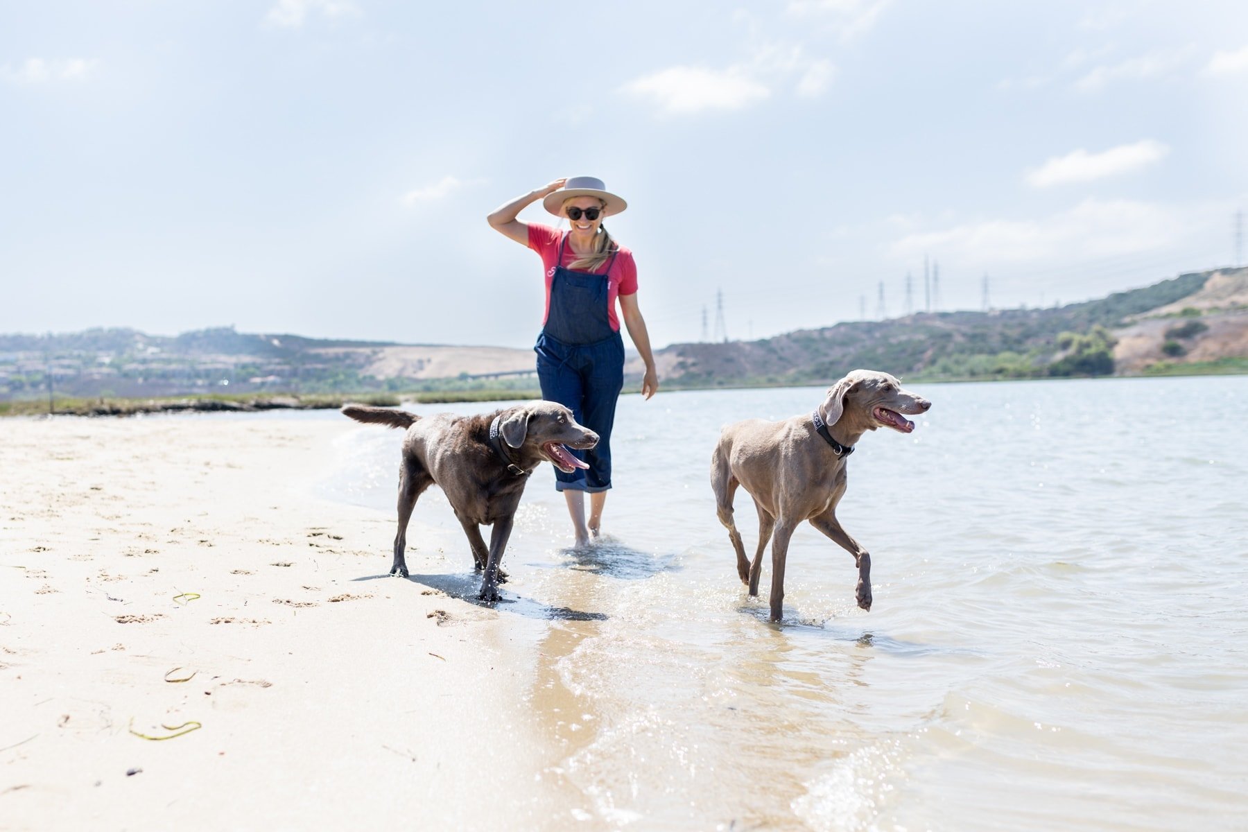 woman with dogs