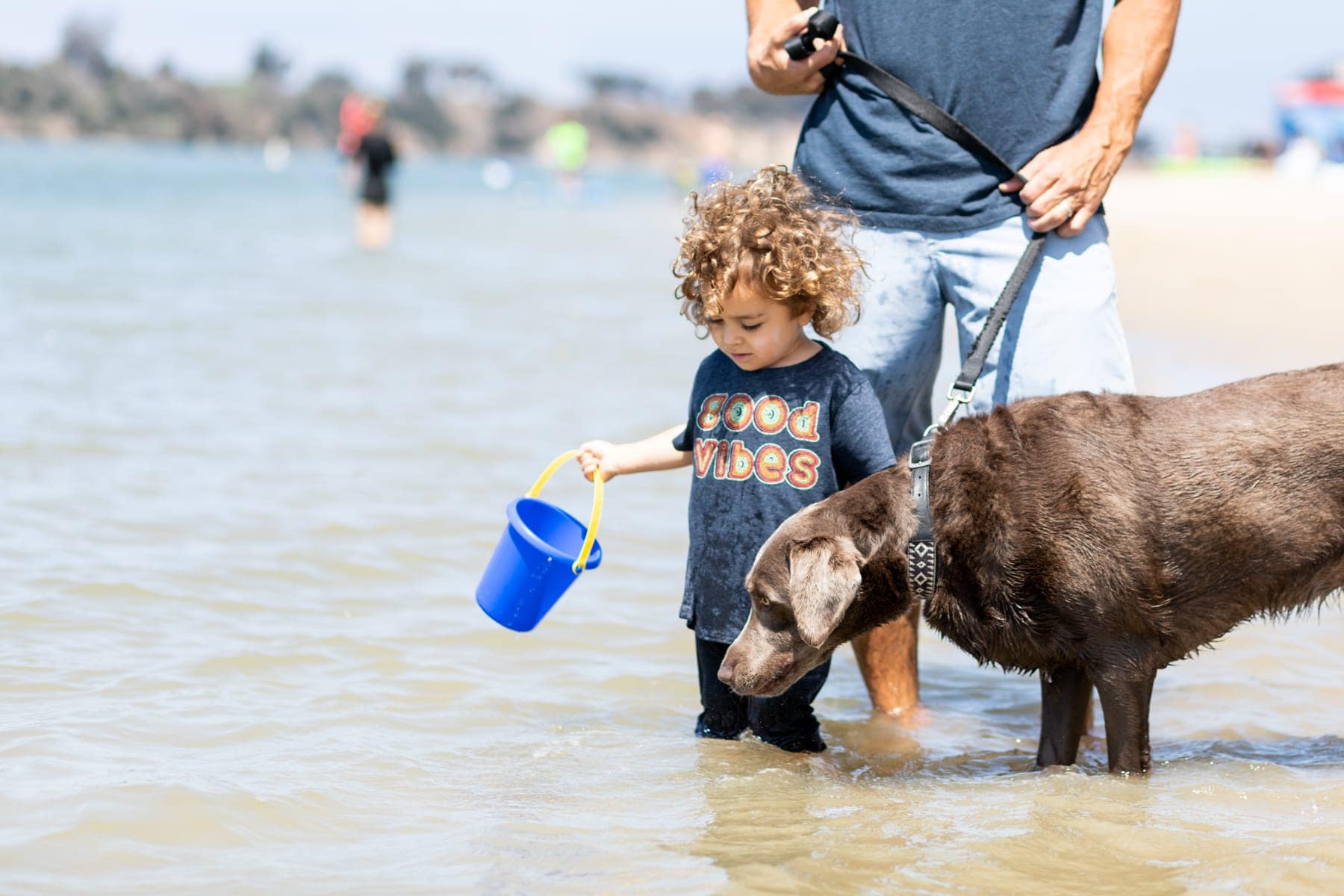 toddler and dog at beach