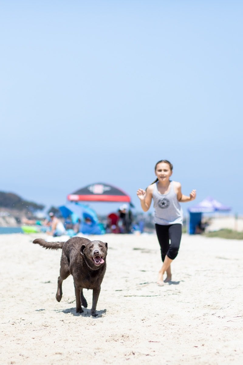 dog and child at the beach