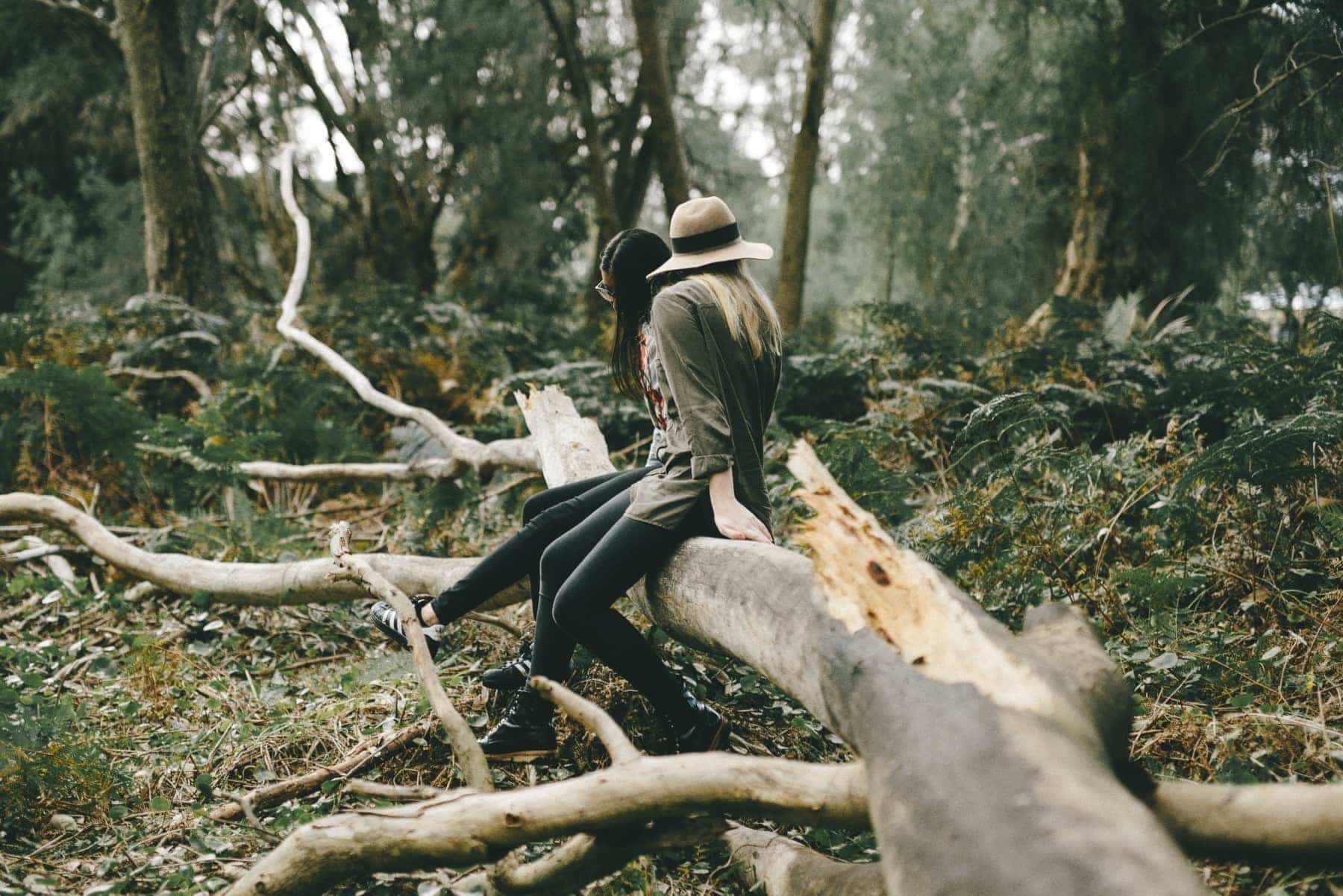 women sitting on fallen tree