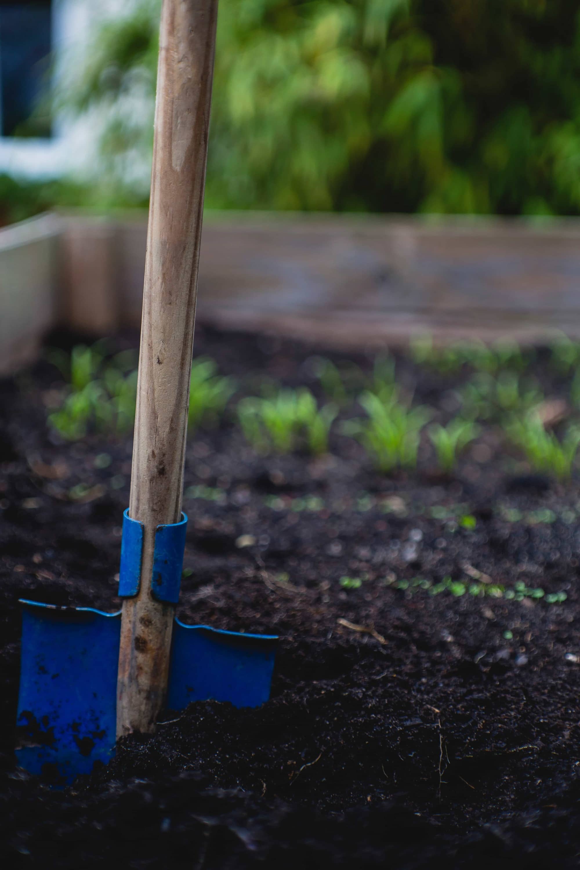 garden shovel