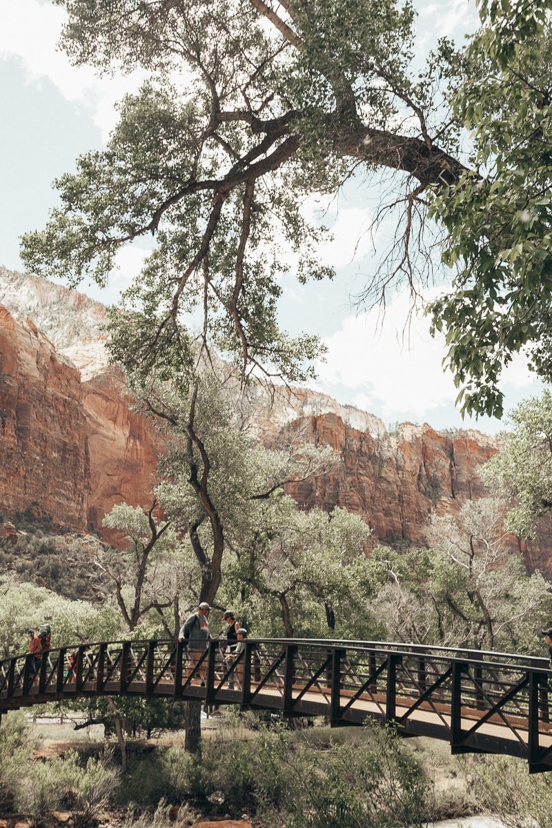 zion national park