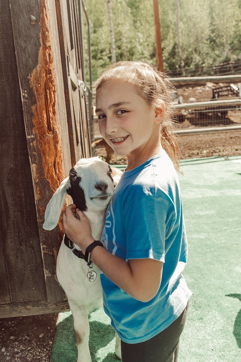 goat and girl