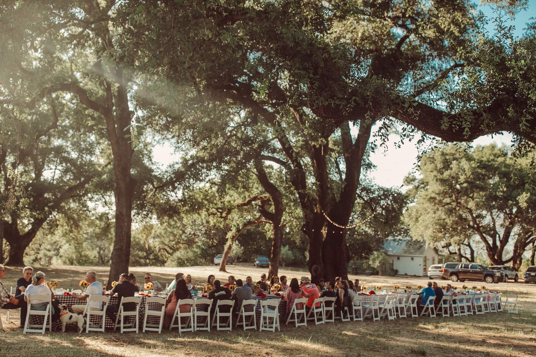 family dining outdoors