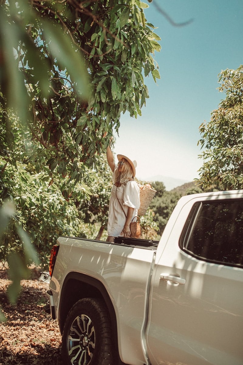 truck woman