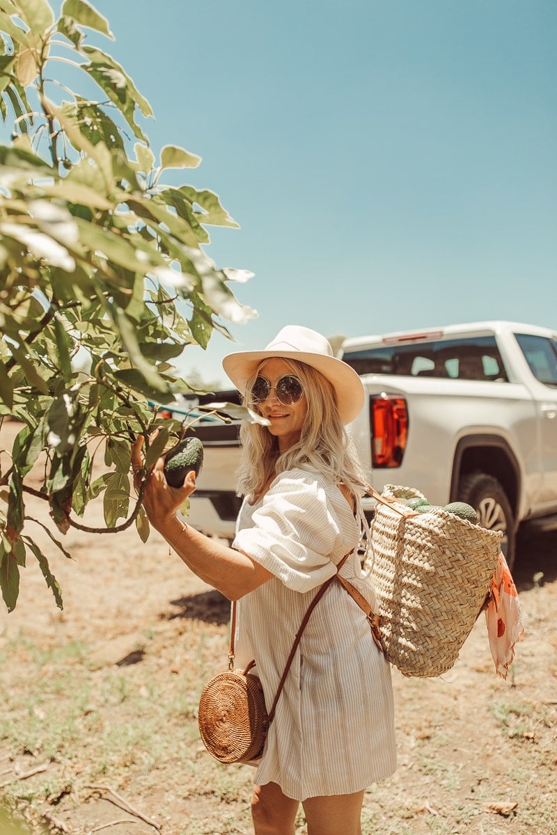 woman picking avocado