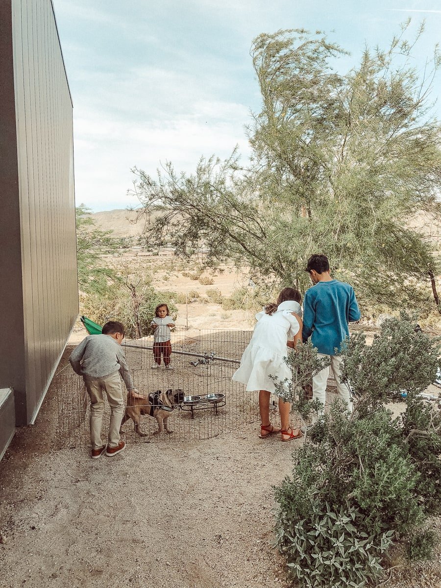 kids playing