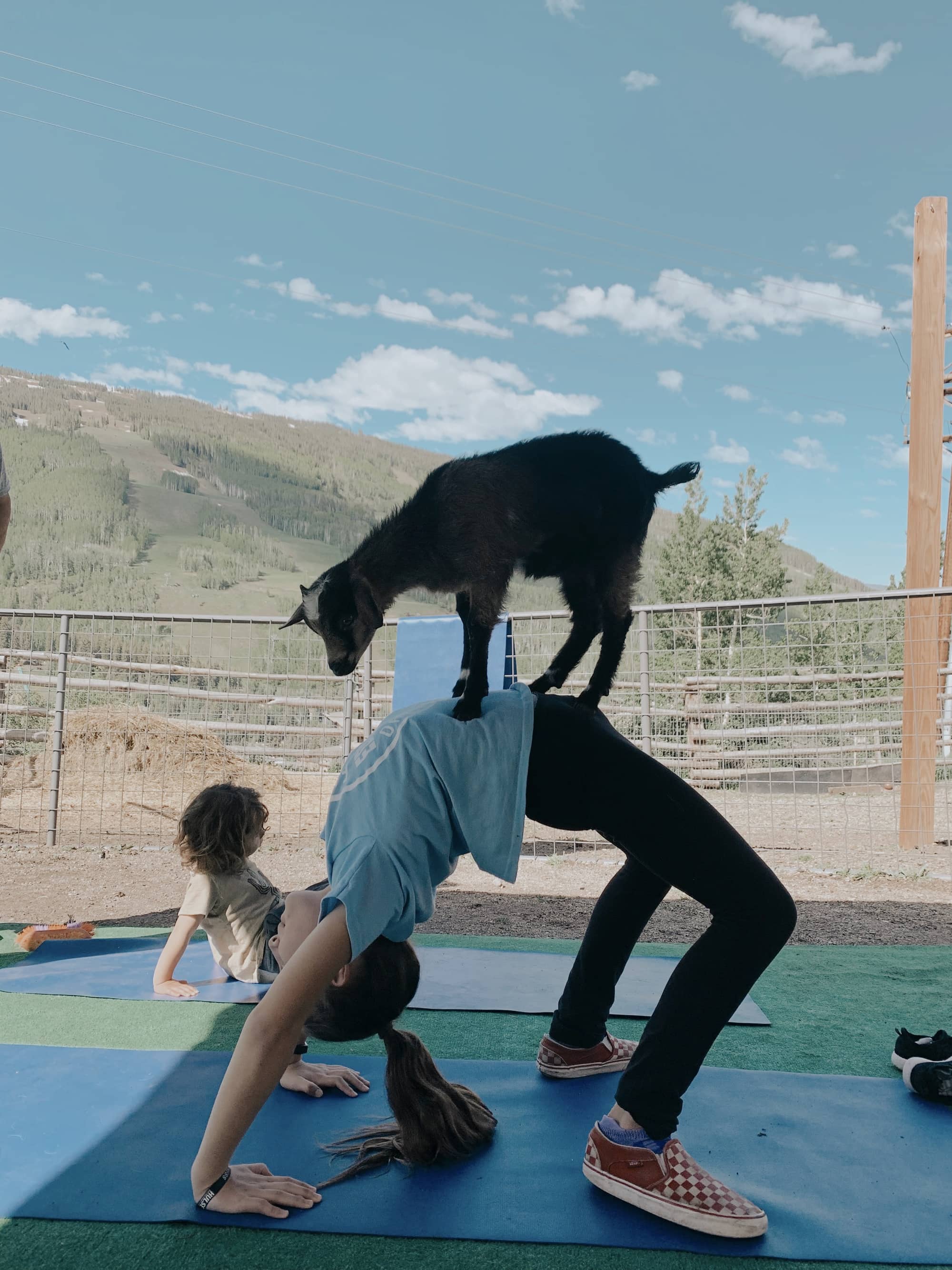 goat yoga kid