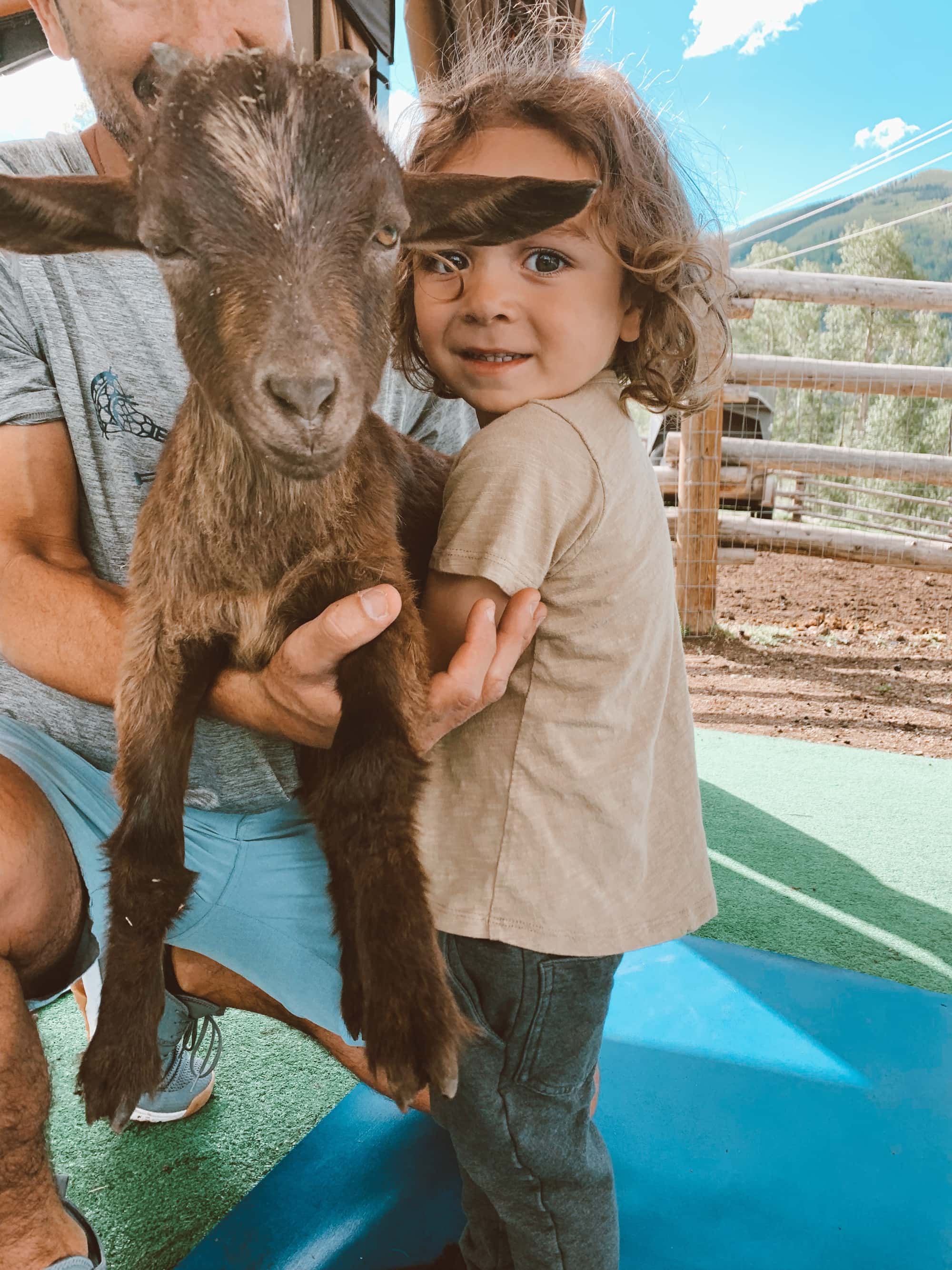 baby and goat