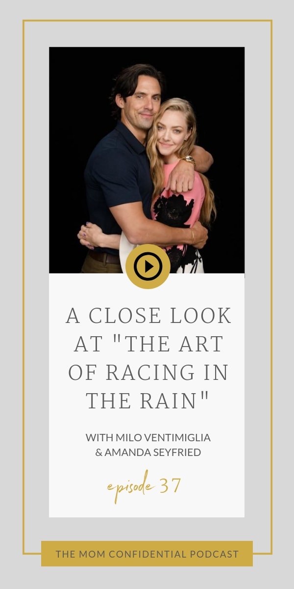 A Close Look At “The Art of Racing in the Rain”