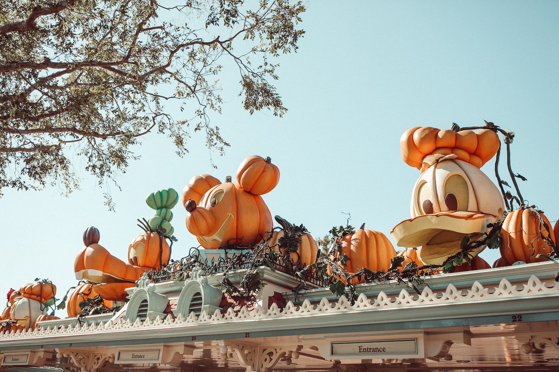 Disney characters in the shape of pumpkins outside Disneyland park.