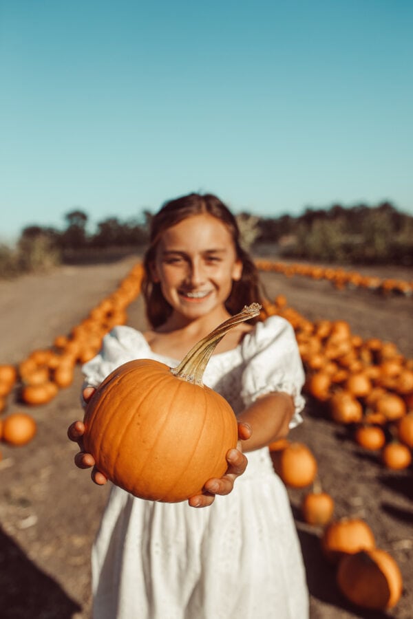 How To Make Your Halloween Pumpkin Last Longer - City Girl Gone Mom
