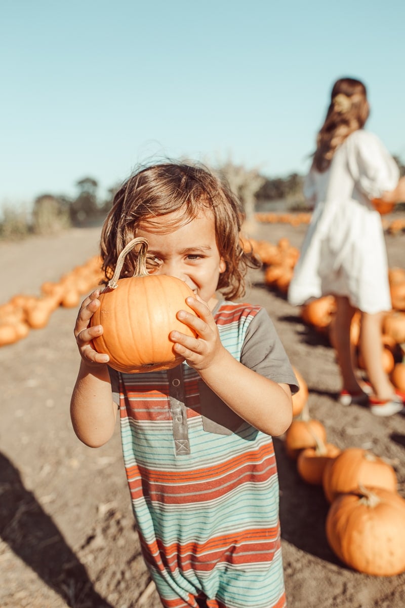 toddler holding pumpkin