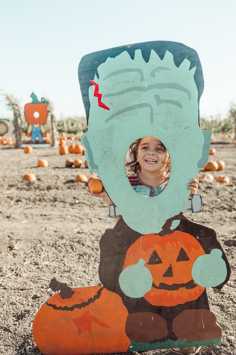 toddler at pumpkin patch