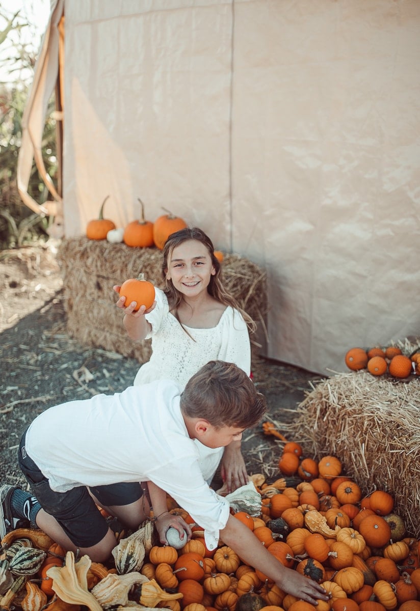 kids picking pumpkins