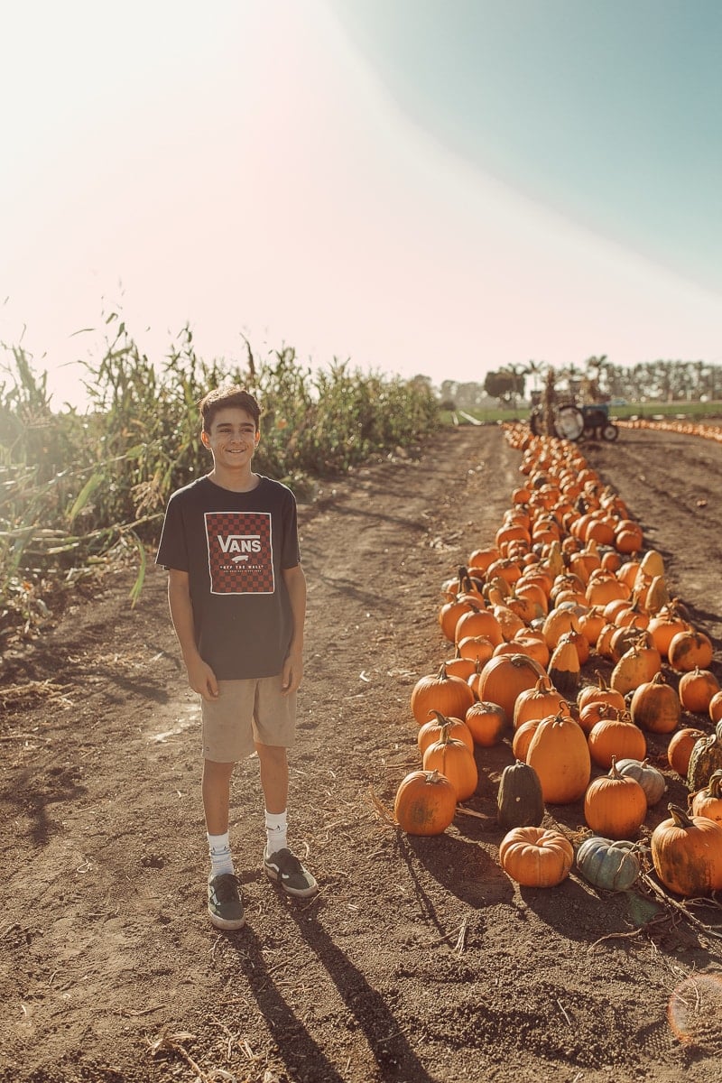 boy in pumpkin patch