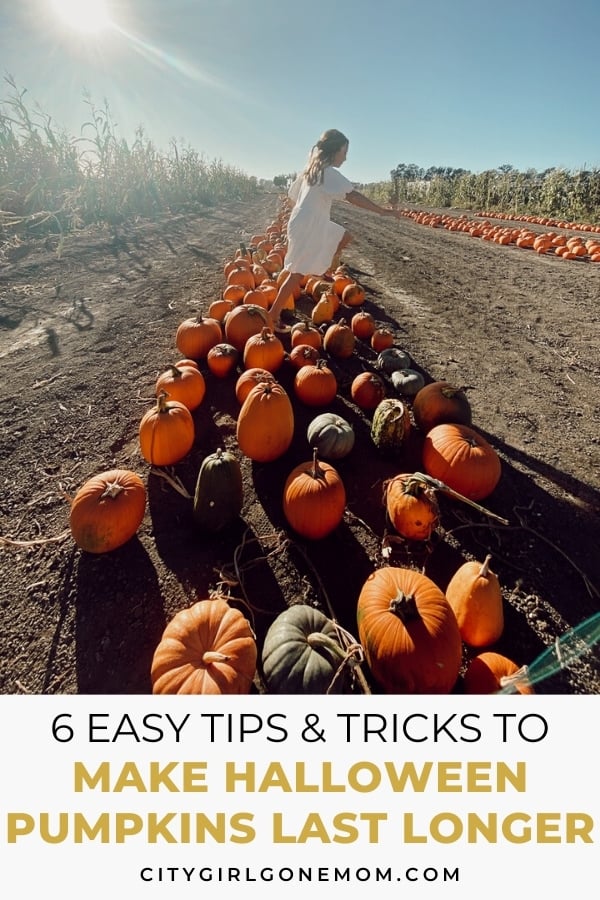 girl in pumpkin patch