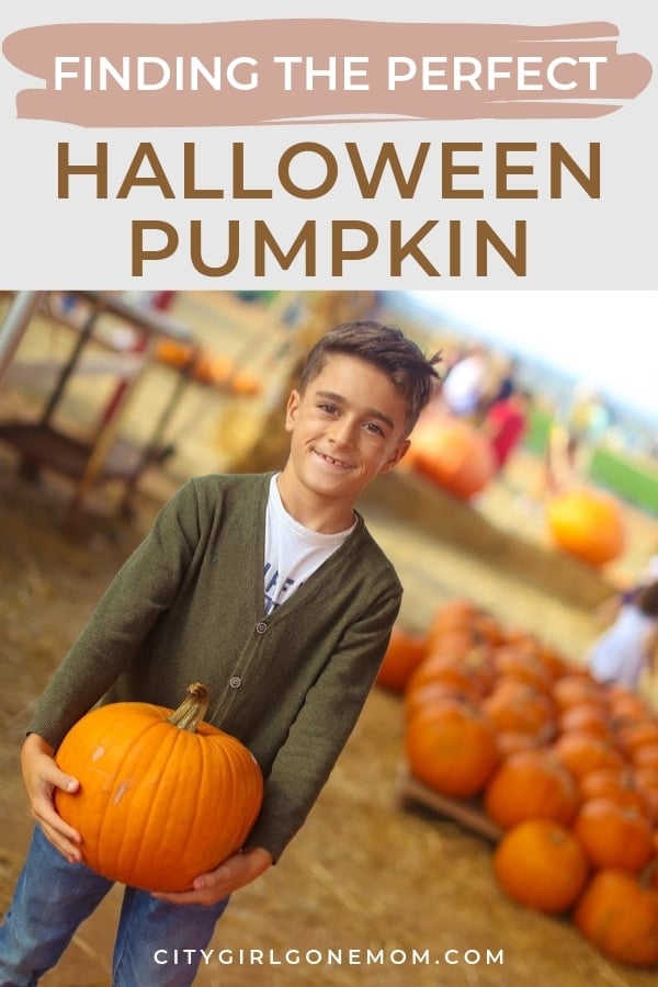 boy in pumpkin patch