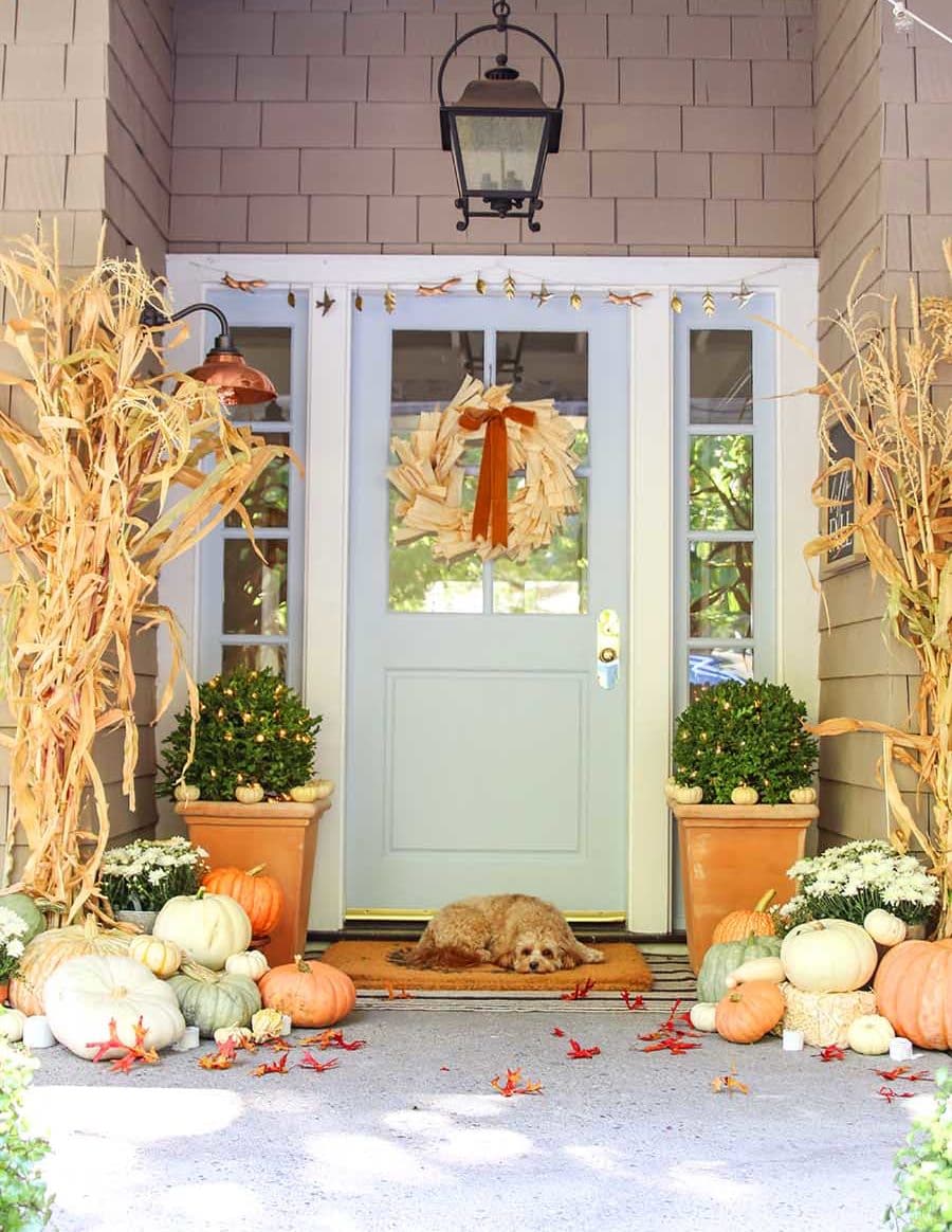 fall front porch decor with dog