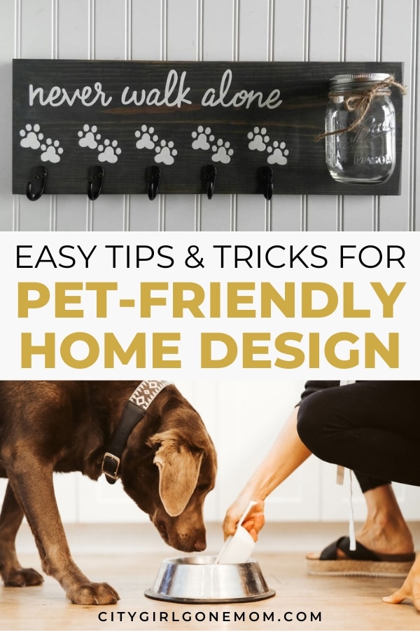 pet home decor