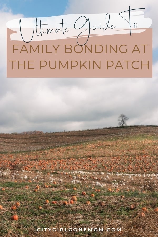 pumpkin patch