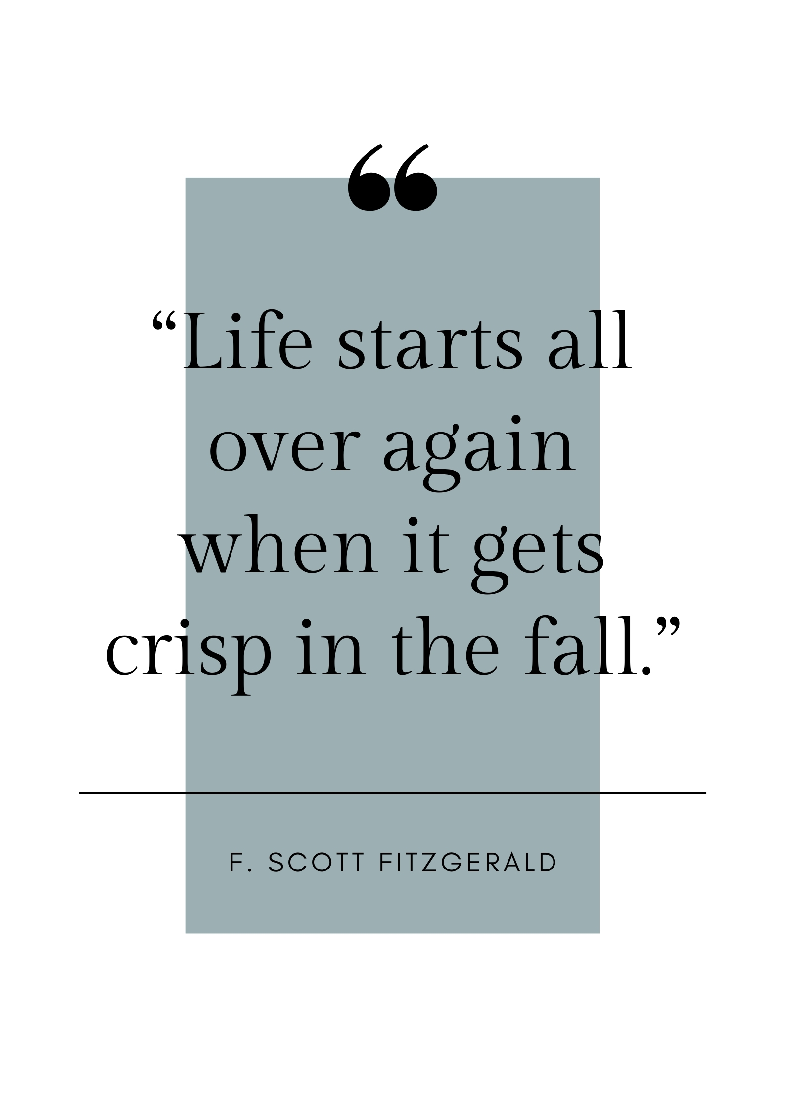 f scott Fitzgerald quote