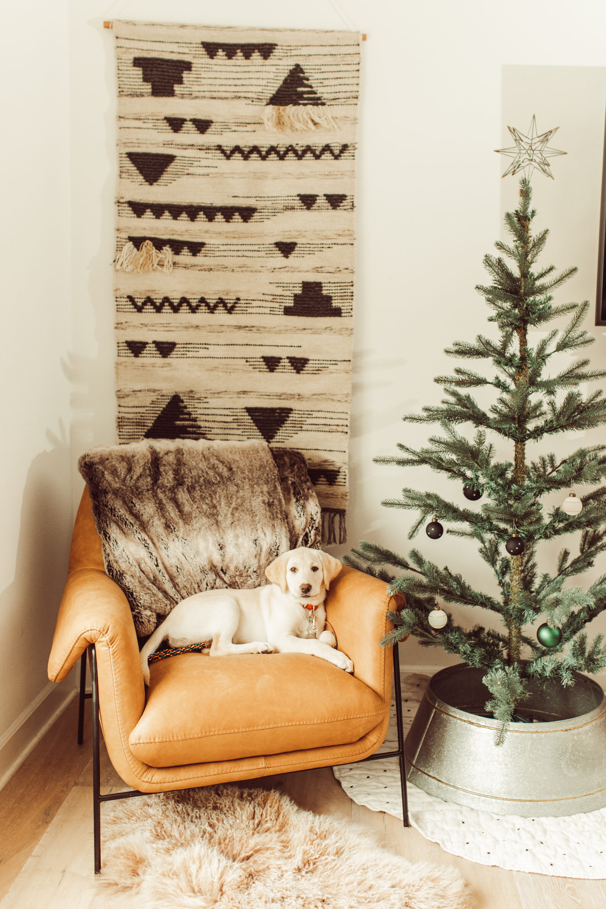 dog by christmas tree