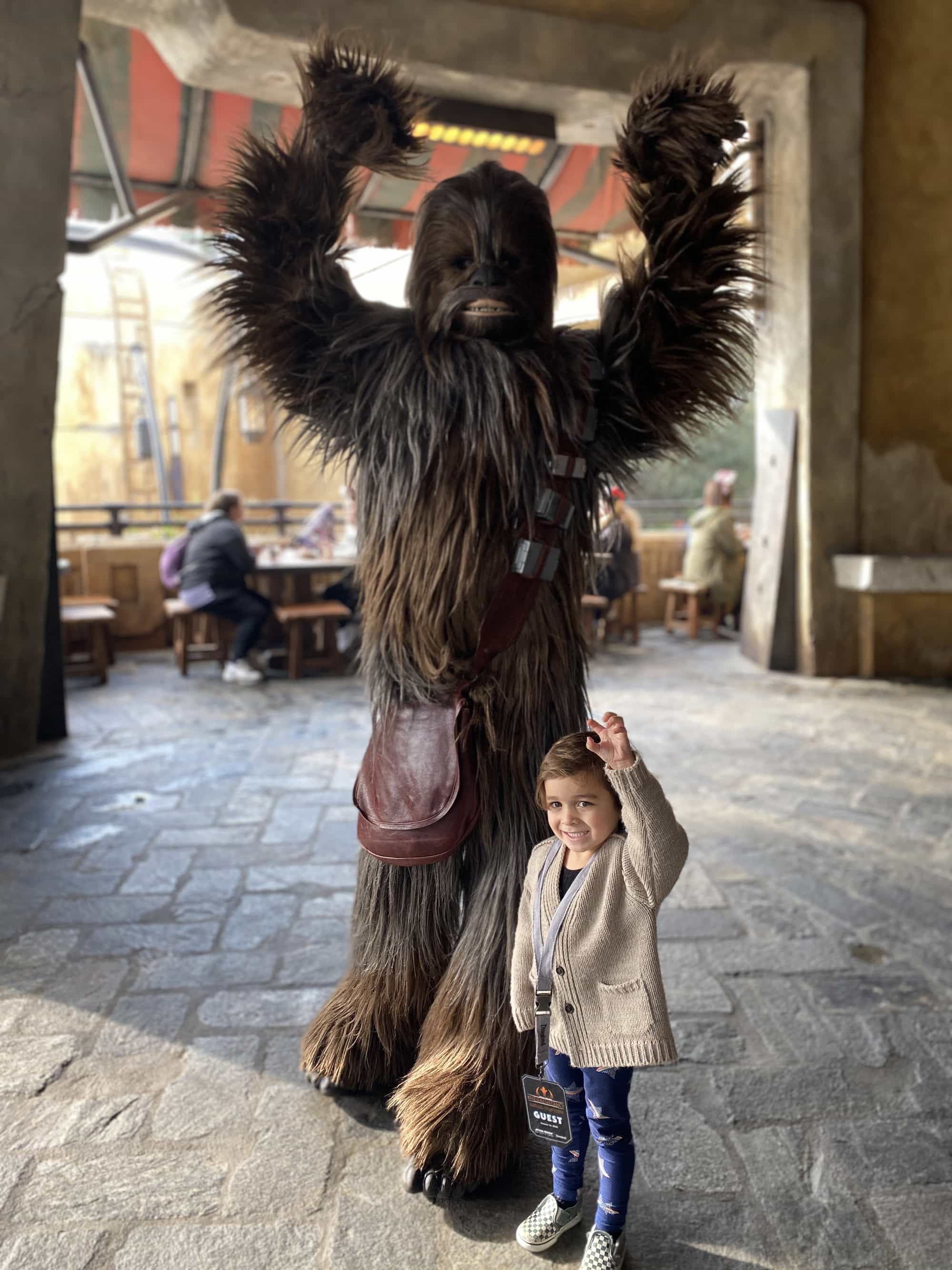 toddler posing with chewbacca at disneyland star wars