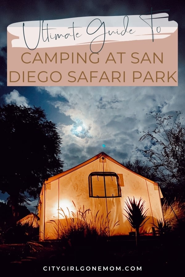 san diego safari park camping