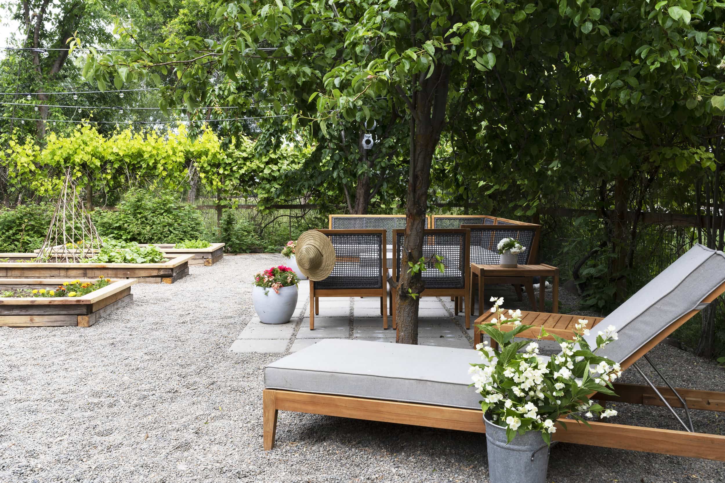 outdoor garden area