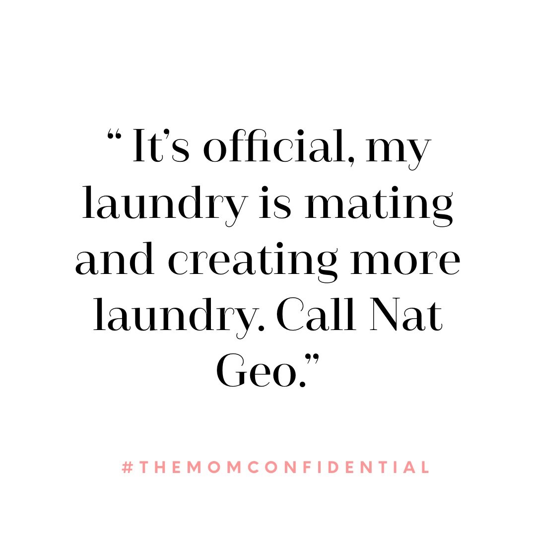 laundry quote