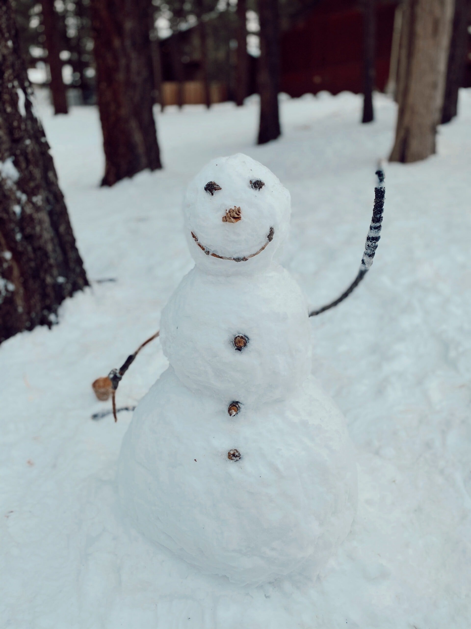 snowman in the woods